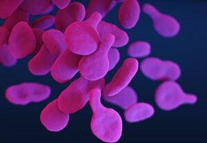 Sobrecreixement Bacterià de l'Intestí Prim (SIBO)
